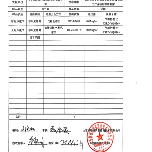 檢測(cè)報(bào)告（2024.12.31）