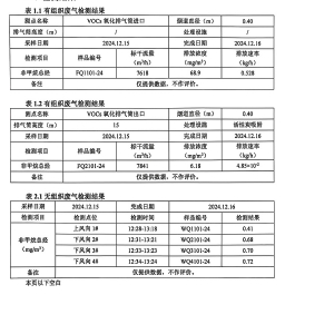 檢測(cè)報(bào)告（2024.12.31）