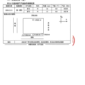 檢測(cè)報(bào)告（2024.12.31）